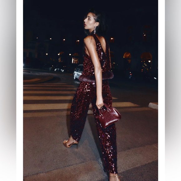 Zara Burgundy Sequin Pants - Picture 10 of 11